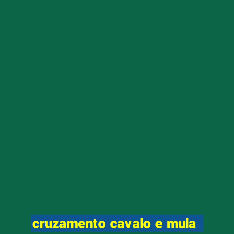 cruzamento cavalo e mula