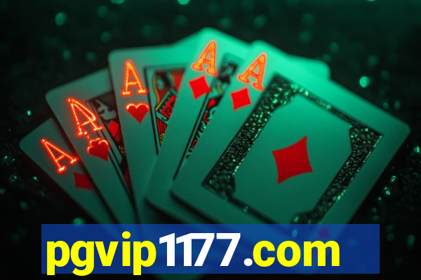 pgvip1177.com