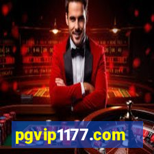 pgvip1177.com