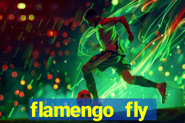 flamengo fly emirates ultimas noticias