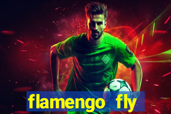 flamengo fly emirates ultimas noticias