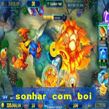 sonhar com boi jogo do bicho