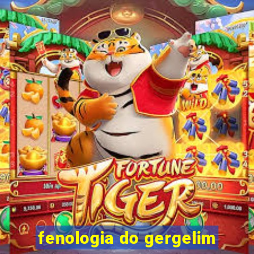 fenologia do gergelim