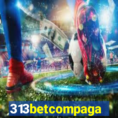 313betcompaga