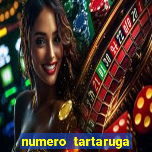 numero tartaruga jogo do bicho