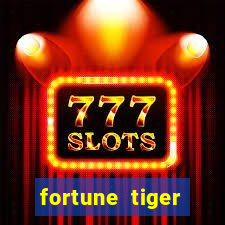 fortune tiger cassino pix