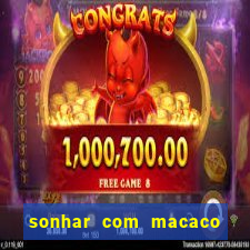 sonhar com macaco o que significa