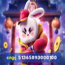 cnpj 51365893000100