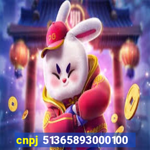 cnpj 51365893000100