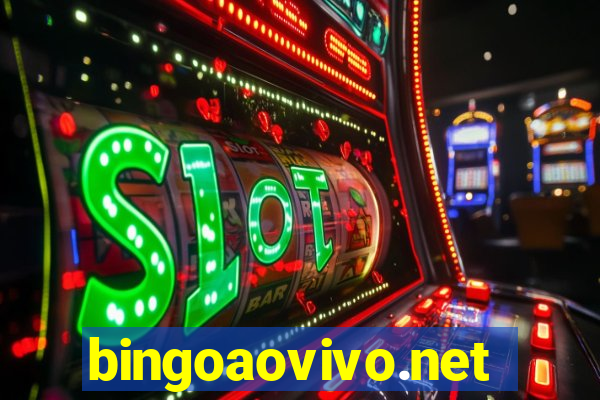 bingoaovivo.net