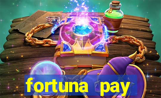 fortuna pay consultoria financeira ltda