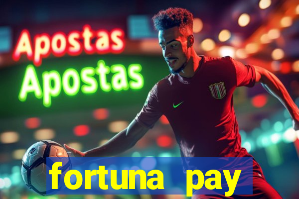 fortuna pay consultoria financeira ltda