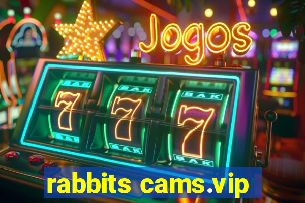 rabbits cams.vip