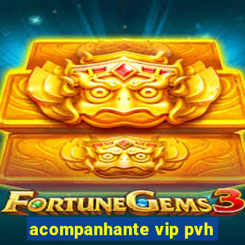 acompanhante vip pvh