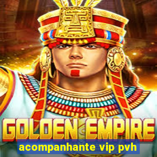 acompanhante vip pvh