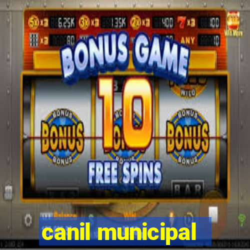 canil municipal