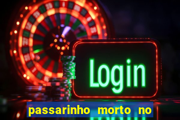 passarinho morto no quintal significado espiritual