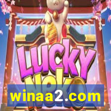 winaa2.com