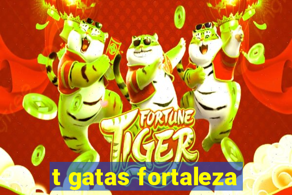 t gatas fortaleza