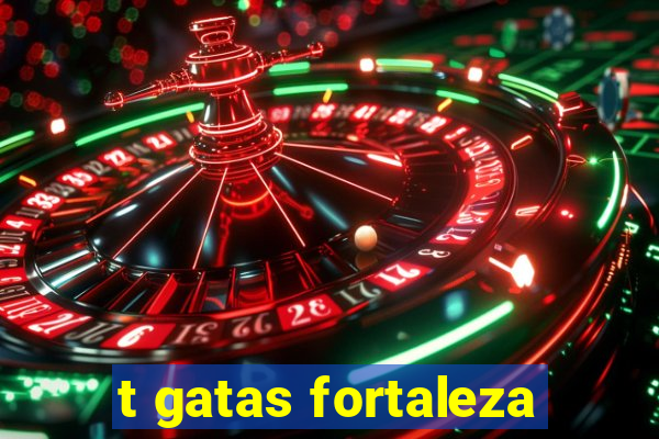 t gatas fortaleza