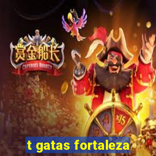 t gatas fortaleza