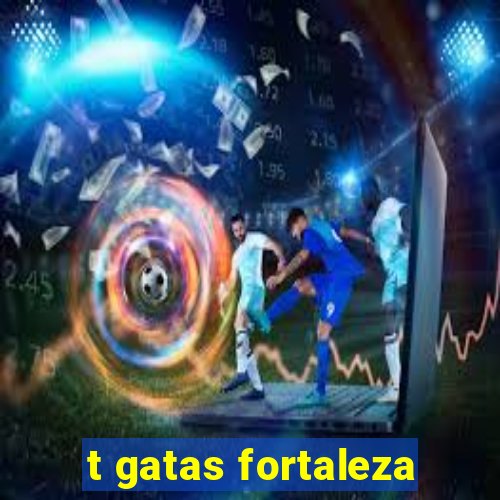 t gatas fortaleza