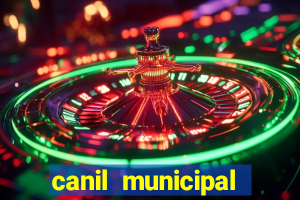 canil municipal porto alegre