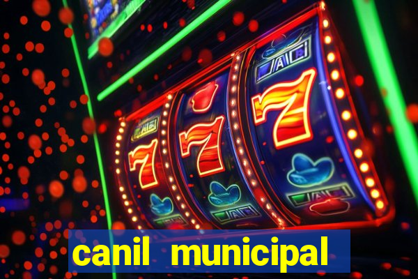 canil municipal porto alegre