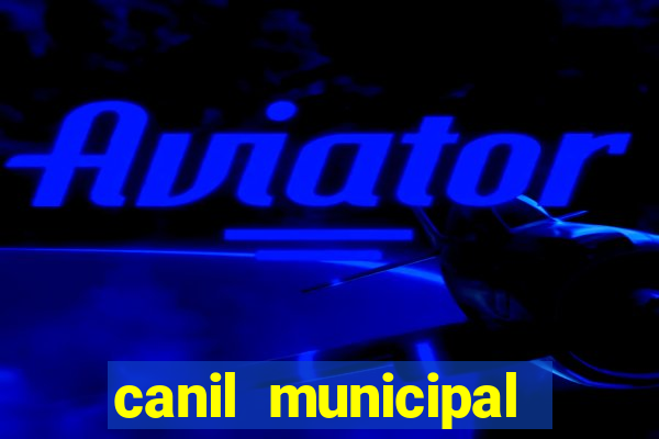 canil municipal porto alegre