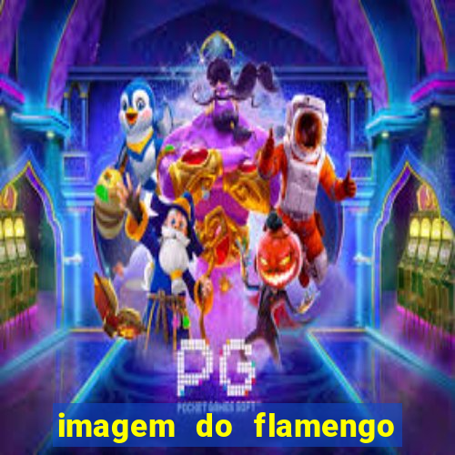 imagem do flamengo para perfil