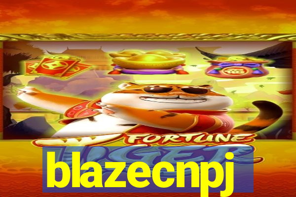 blazecnpj