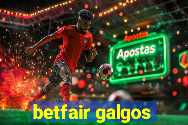 betfair galgos