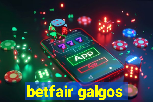 betfair galgos