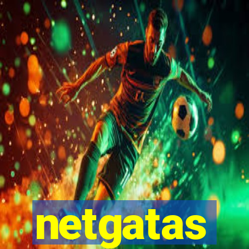 netgatas