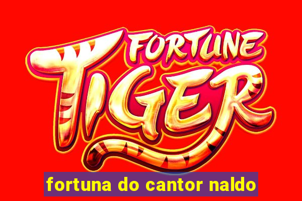 fortuna do cantor naldo