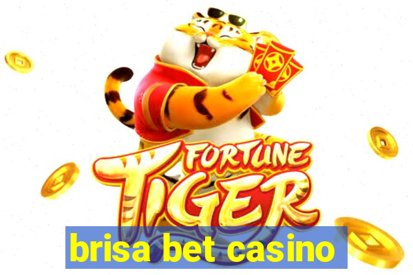 brisa bet casino