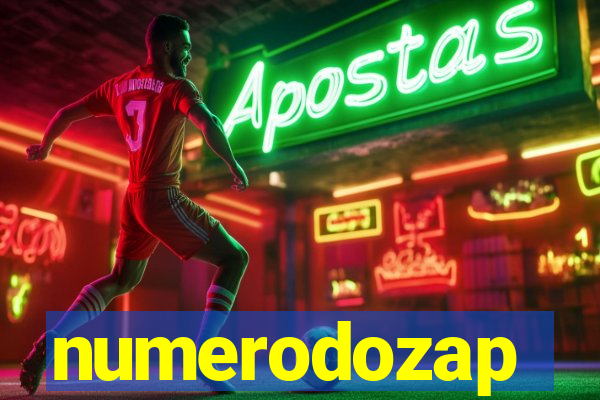 numerodozap