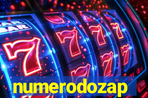 numerodozap