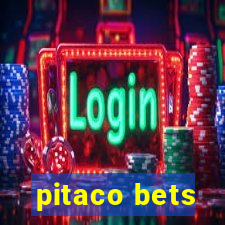 pitaco bets