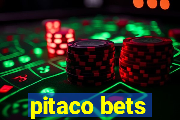 pitaco bets