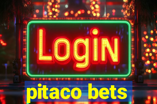 pitaco bets