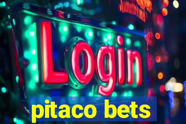 pitaco bets