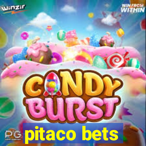 pitaco bets