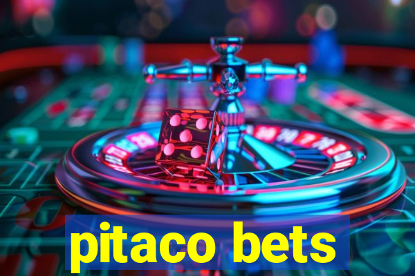 pitaco bets