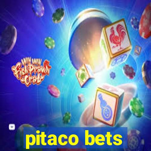 pitaco bets