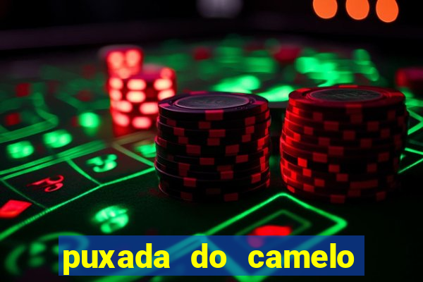 puxada do camelo jogo do bicho