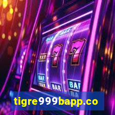 tigre999bapp.com