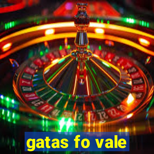 gatas fo vale