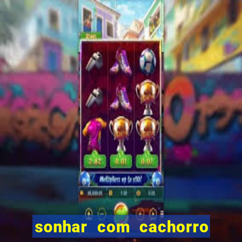 sonhar com cachorro numeros da mega sena