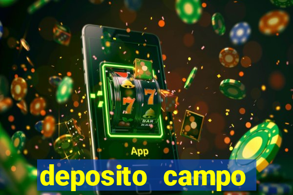 deposito campo grande santos